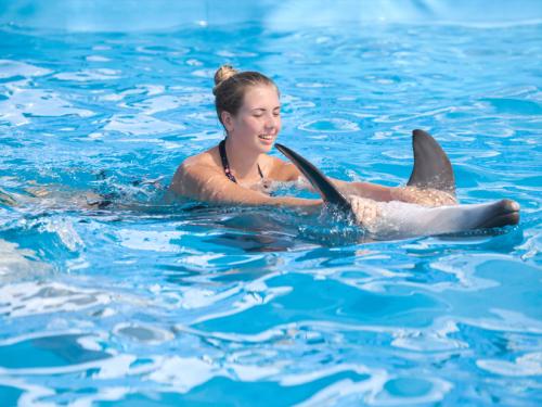 swim-with-dolphin (2)